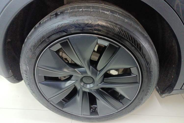 Used Tesla Model Y 2024 Rear-Wheel-Drive Version Exterior 8