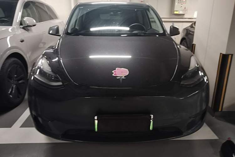 Used Tesla Model Y 2024 Rear-Wheel-Drive Version Front
