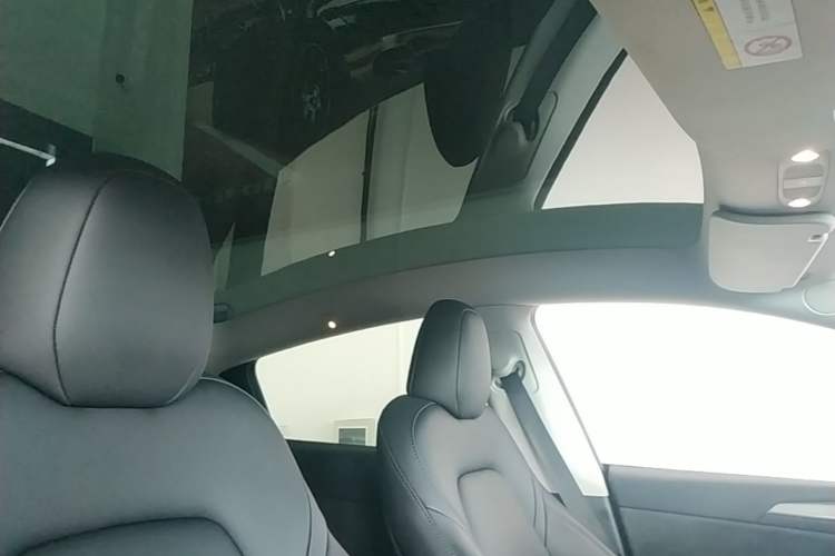 Used Tesla Model Y 2024 Rear-Wheel-Drive Version Headliner