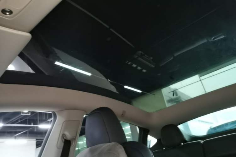 Used Tesla Model Y 2024 Rear-Wheel-Drive Version Headliner
