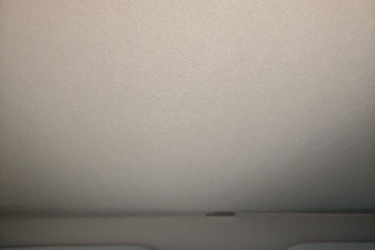 Used Tesla Model Y 2024 Rear-Wheel-Drive Version Headliner