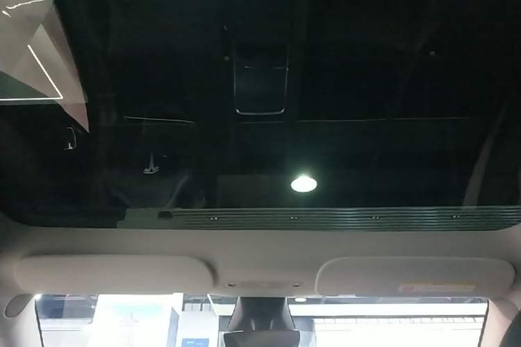 Used Tesla Model Y 2024 Rear-Wheel-Drive Version Headliner