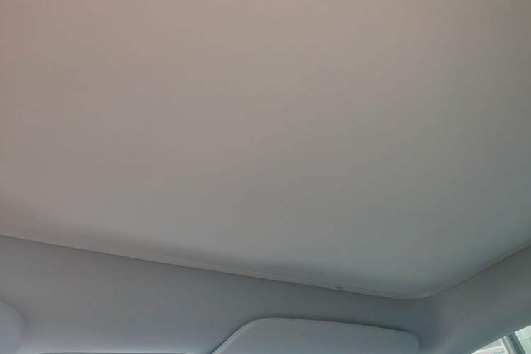 Used Tesla Model Y 2024 Rear-Wheel-Drive Version Headliner