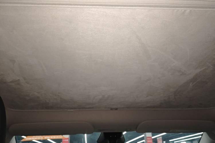 Used Tesla Model Y 2024 Rear-Wheel-Drive Version Headliner