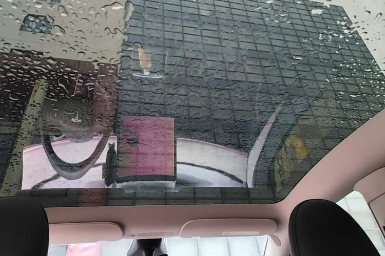 Used Tesla Model Y 2024 Rear-Wheel-Drive Version Headliner