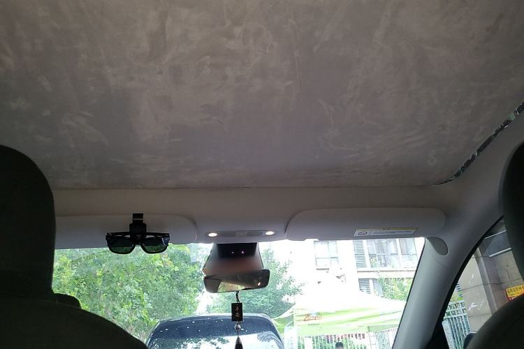 Used Tesla Model Y 2024 Rear-Wheel-Drive Version Headliner