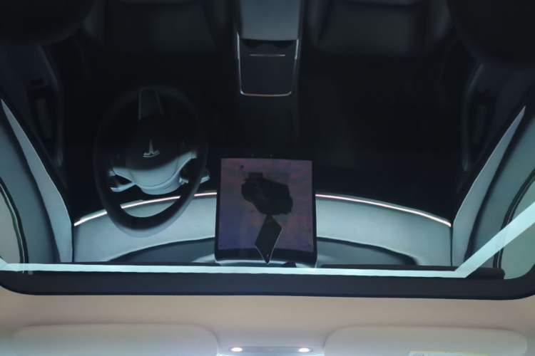 Used Tesla Model Y 2024 Long-Range All-Wheel-Drive Version Headliner