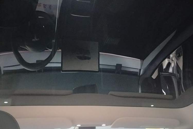 Used Tesla Model Y 2024 Long-Range All-Wheel-Drive Version Headliner