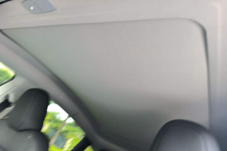 Used Tesla Model Y 2024 Rear-Wheel-Drive Version Headliner
