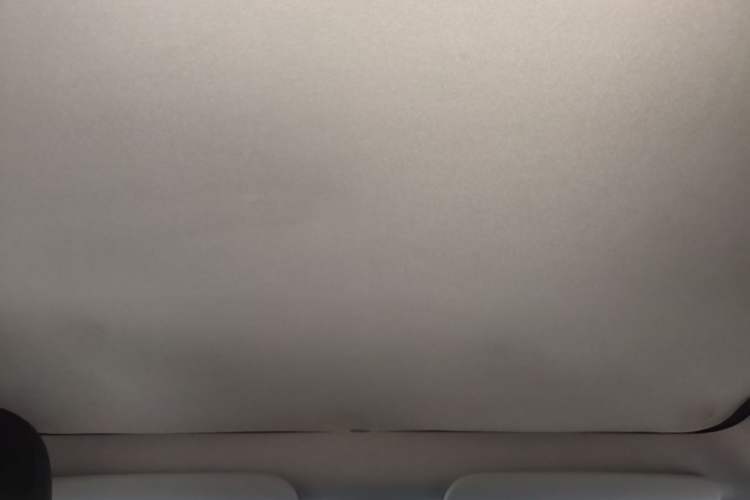 Used Tesla Model Y 2024 Rear-Wheel-Drive Version Headliner