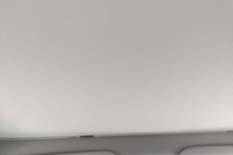 Used Tesla Model Y 2024 Rear-Wheel-Drive Version Headliner