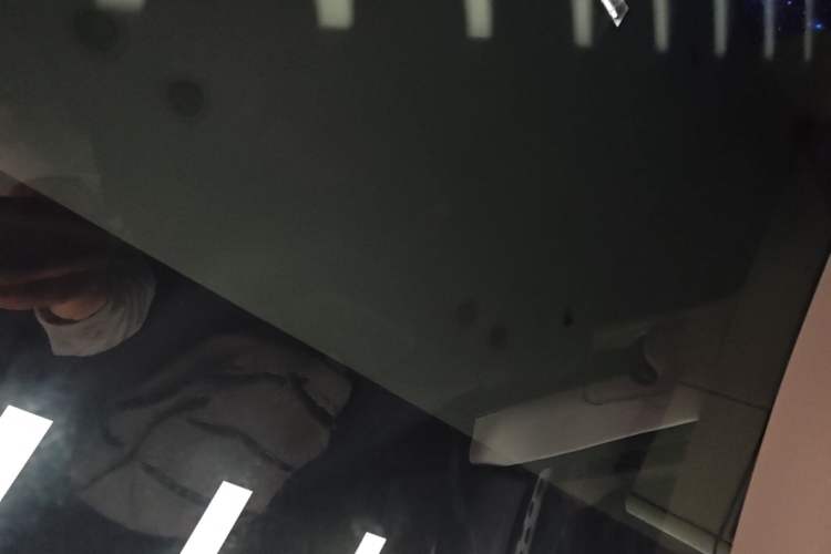 Used Tesla Model Y 2024 Rear-Wheel-Drive Version Headliner
