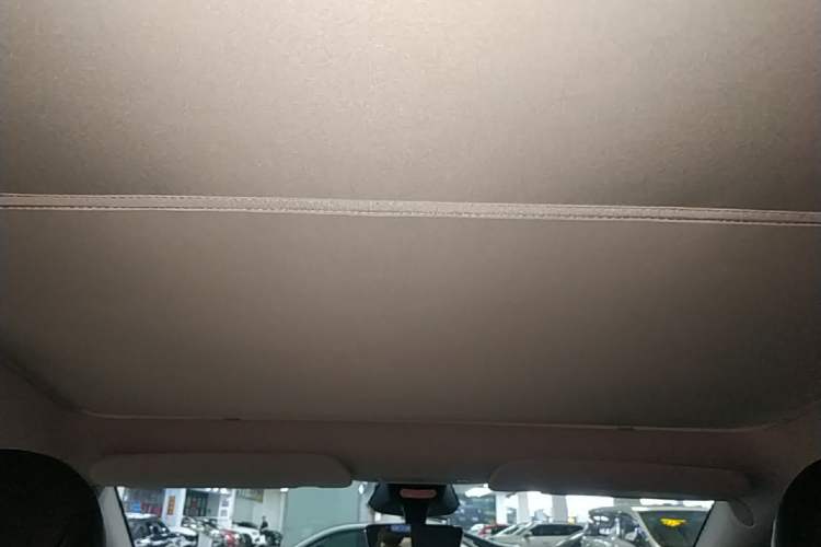 Used Tesla Model Y 2024 Rear-Wheel-Drive Version Headliner