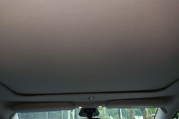 Used Tesla Model Y 2024 Long-Range All-Wheel-Drive Version Headliner