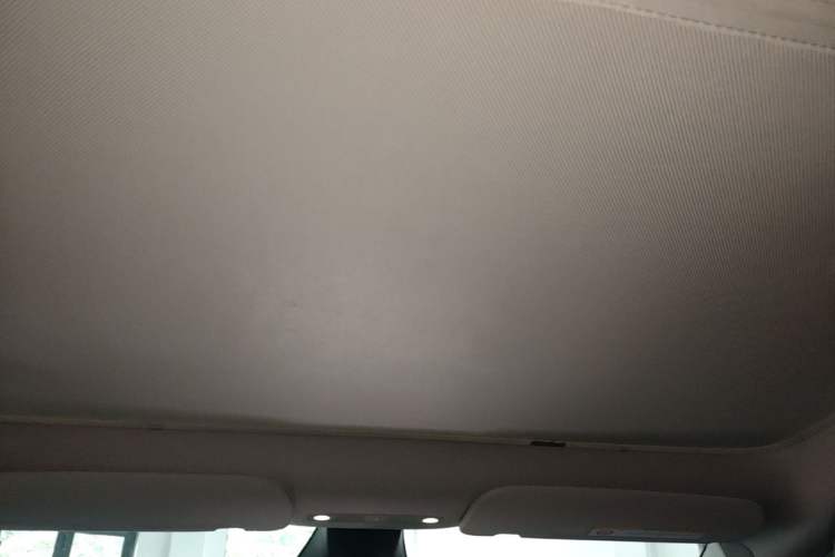Used Tesla Model Y 2024 Rear-Wheel-Drive Version Headliner