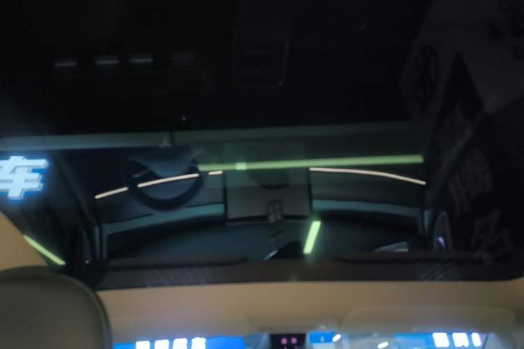 Used Tesla Model Y 2024 Rear-Wheel-Drive Version Headliner