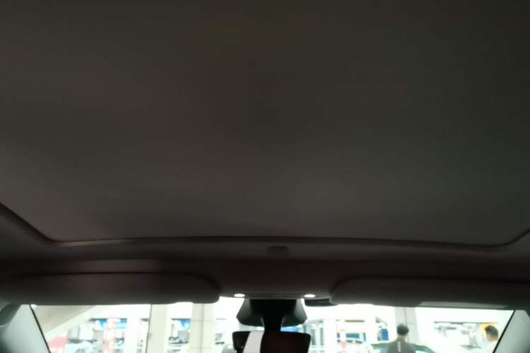 Used Tesla Model Y 2024 Rear-Wheel-Drive Version Headliner