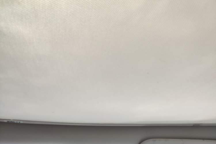 Used Tesla Model Y 2024 Rear-Wheel-Drive Version Headliner