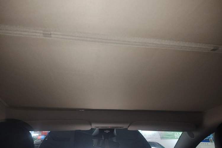 Used Tesla Model Y 2024 Rear-Wheel-Drive Version Headliner