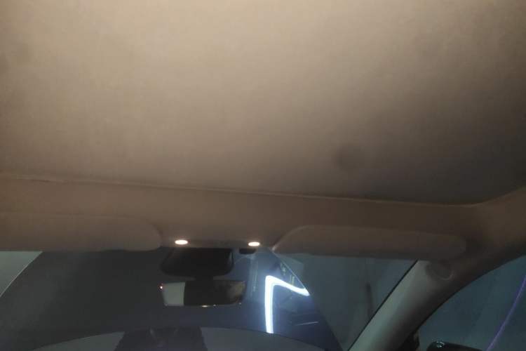 Used Tesla Model Y 2024 Rear-Wheel-Drive Version Headliner