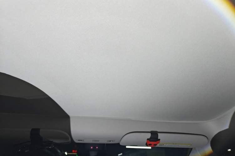 Used Tesla Model Y 2024 Rear-Wheel-Drive Version Headliner