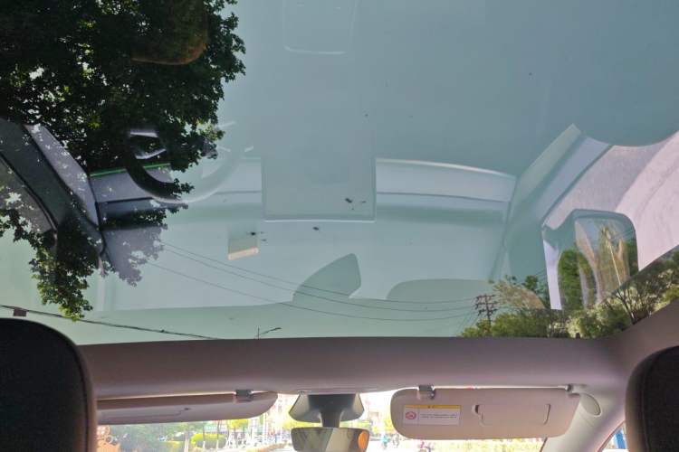 Used Tesla Model Y 2024 Rear-Wheel-Drive Version Headliner