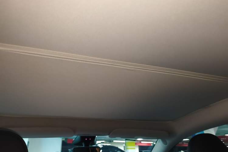 Used Tesla Model Y 2024 Rear-Wheel-Drive Version Headliner