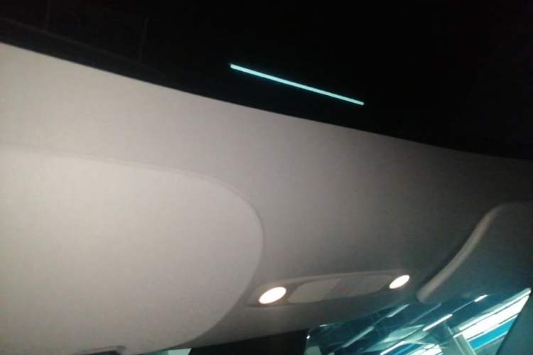 Used Tesla Model Y 2024 Rear-Wheel-Drive Version Headliner