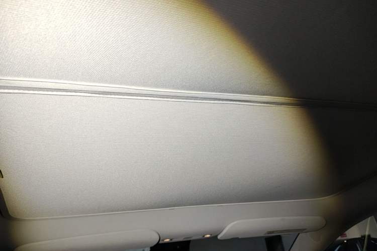 Used Tesla Model Y 2024 Rear-Wheel-Drive Version Headliner