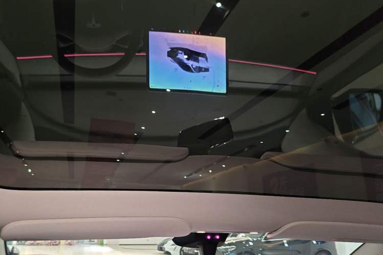 Used Tesla Model Y 2024 Rear-Wheel-Drive Version Headliner