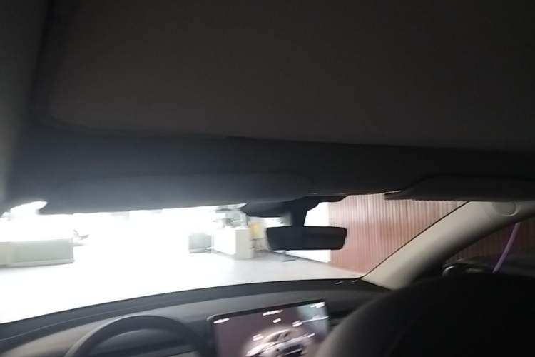 Used Tesla Model Y 2024 Long-Range All-Wheel-Drive Version Headliner