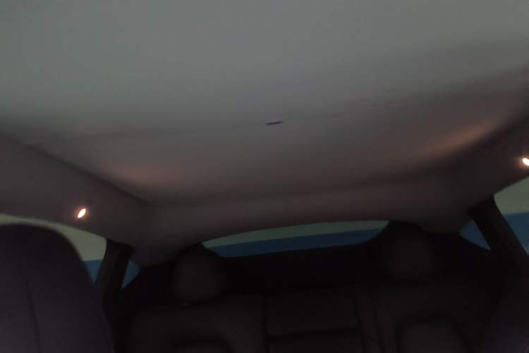 Used Tesla Model Y 2024 Rear-Wheel-Drive Version Headliner