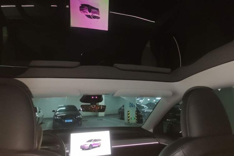 Used Tesla Model Y 2024 Rear-Wheel-Drive Version Headliner