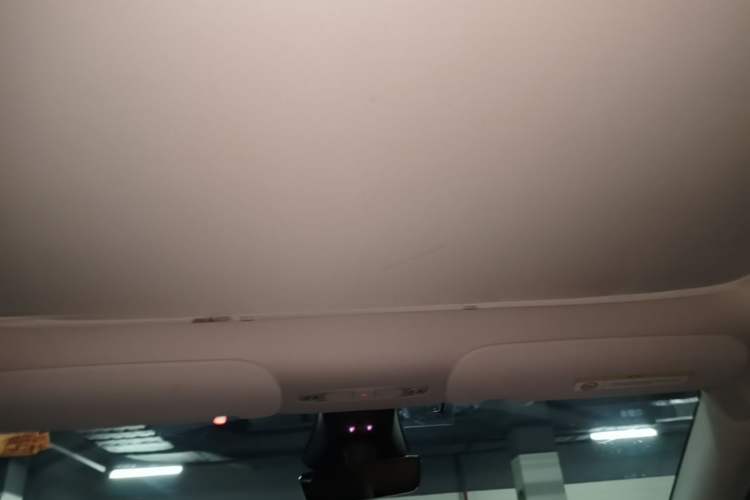 Used Tesla Model Y 2024 Rear-Wheel-Drive Version Headliner