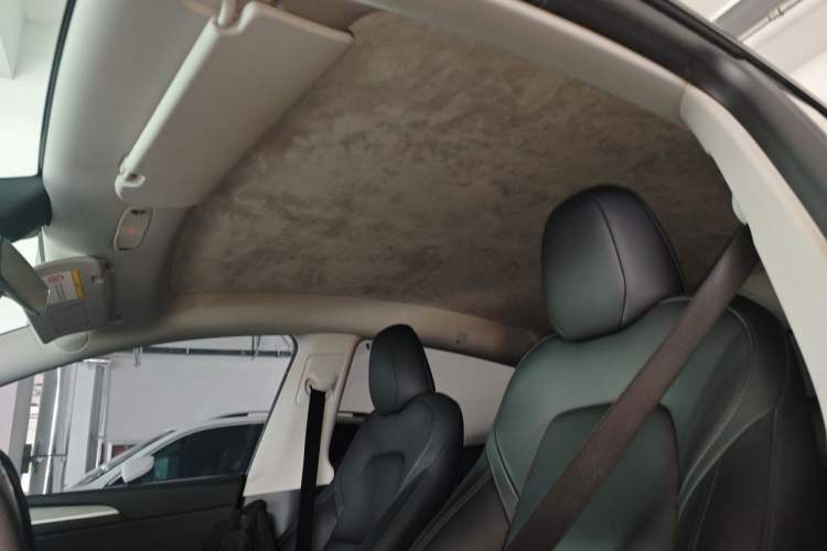 Used Tesla Model Y 2024 Rear-Wheel-Drive Version Headliner