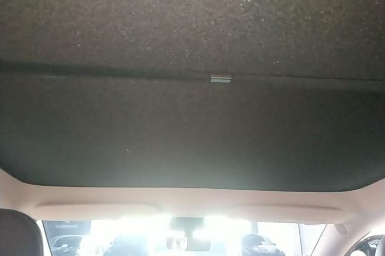 Used Tesla Model Y 2024 Rear-Wheel-Drive Version Headliner