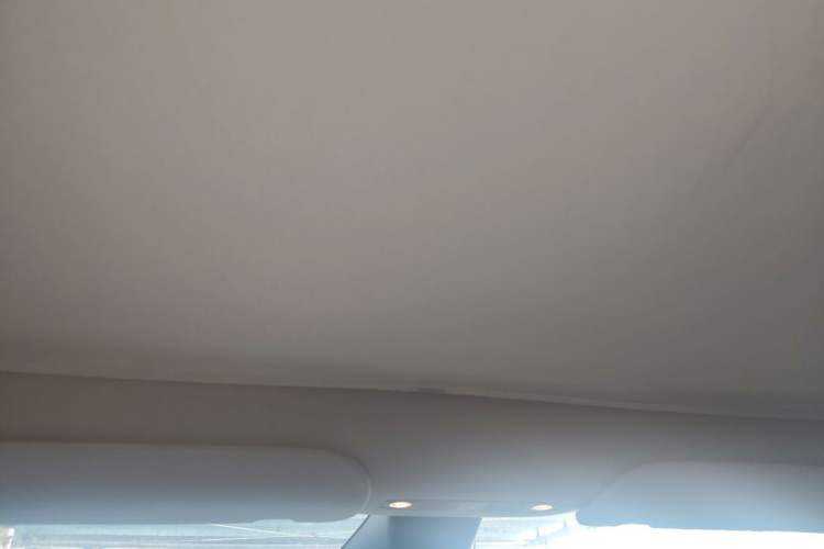 Used Tesla Model Y 2024 Rear-Wheel-Drive Version Headliner