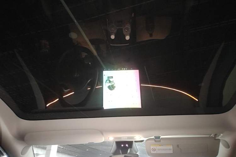 Used Tesla Model Y 2024 Rear-Wheel-Drive Version Headliner