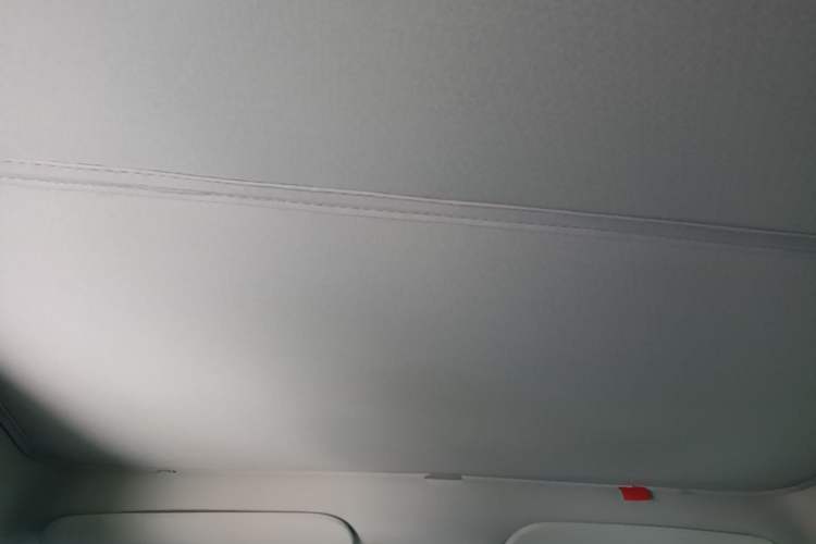 Used Tesla Model Y 2024 Rear-Wheel-Drive Version Headliner