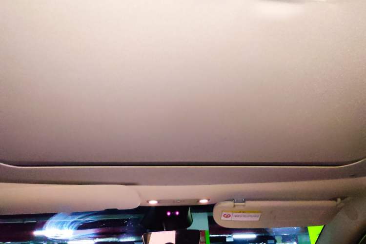 Used Tesla Model Y 2024 Rear-Wheel-Drive Version Headliner