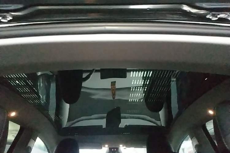 Used Tesla Model Y 2024 Rear-Wheel-Drive Version Headliner