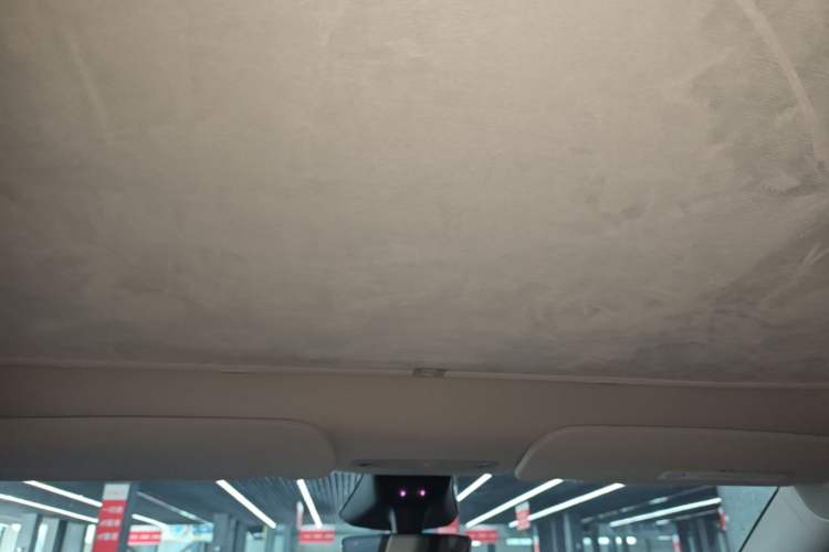 Used Tesla Model Y 2024 Rear-Wheel-Drive Version Headliner