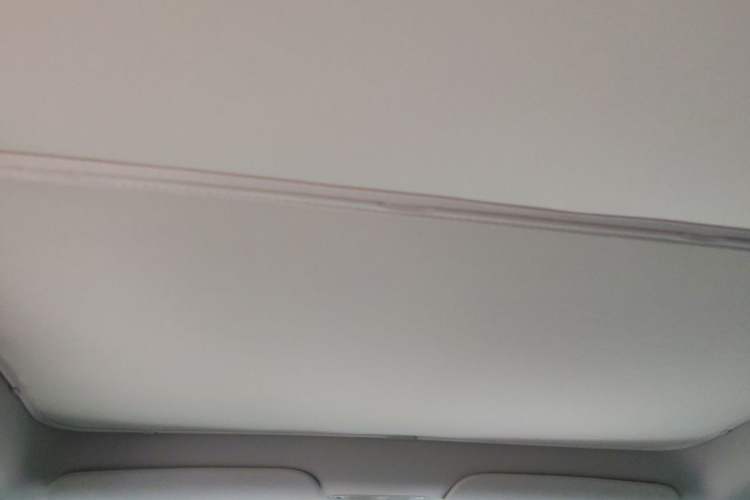 Used Tesla Model Y 2024 Rear-Wheel-Drive Version Headliner