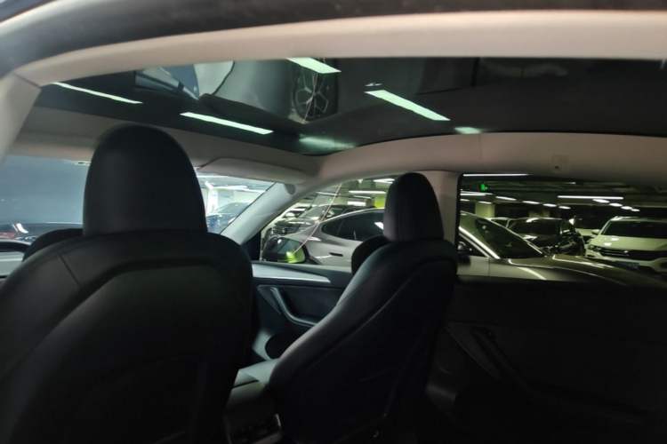 Used Tesla Model Y 2024 Long-Range All-Wheel-Drive Version Headliner