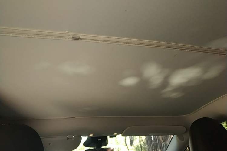 Used Tesla Model Y 2024 Long-Range All-Wheel-Drive Version Headliner
