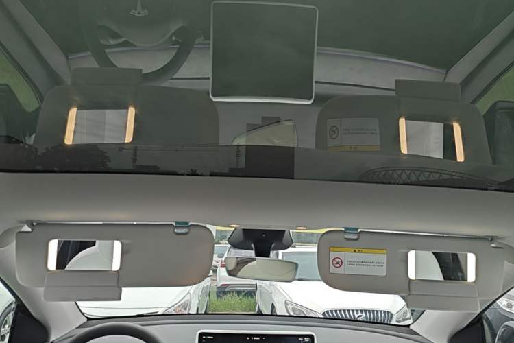 Used Tesla Model Y 2024 Rear-Wheel-Drive Version Headliner