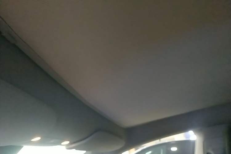 Used Tesla Model Y 2024 Rear-Wheel-Drive Version Headliner