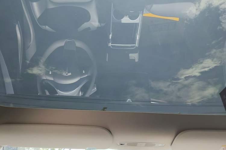 Used Tesla Model Y 2024 Rear-Wheel-Drive Version Headliner