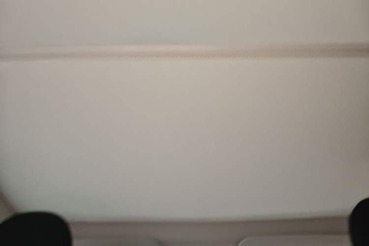 Used Tesla Model Y 2024 Rear-Wheel-Drive Version Headliner