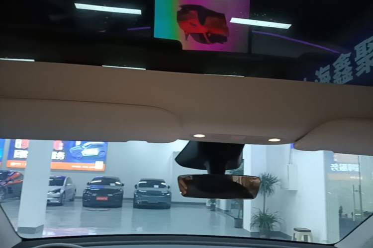 Used Tesla Model Y 2024 Rear-Wheel-Drive Version Headliner